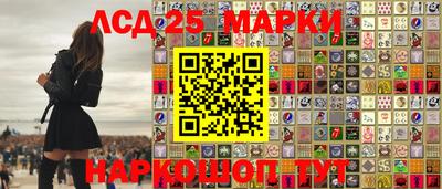стаф Донецк