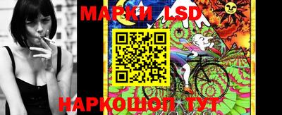 стаф Донецк