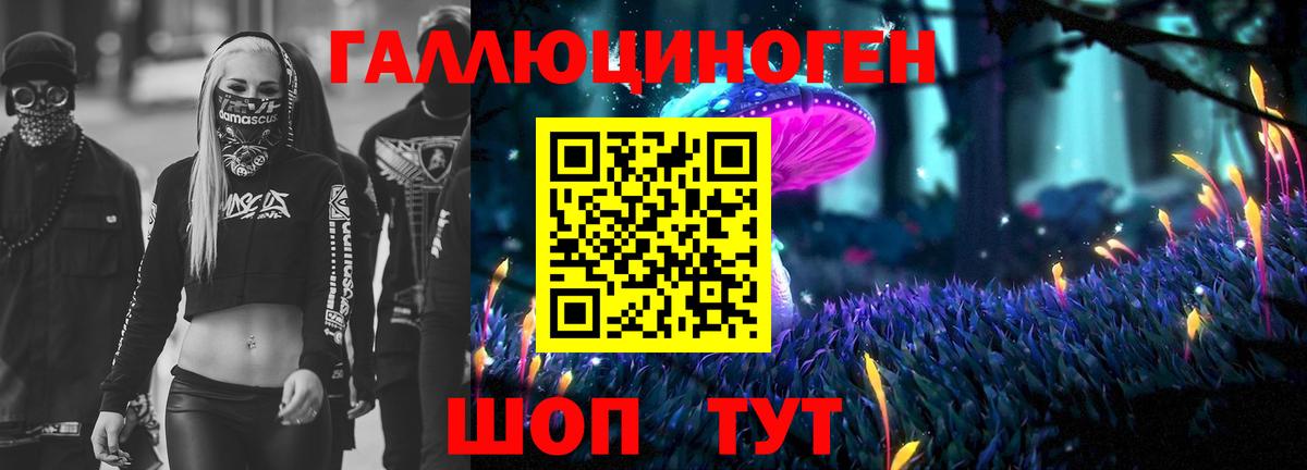 Мирный  Псилоцибиновые грибы прущие грибы  Вход с VPN  как найти   Псилоцибиновые грибы Cubensis 